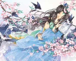 深入了解 蘑菇视频最新回家